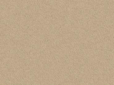 Preview: Modena 8A72 hellbraun – rechteckige Draufsicht auf hellbraunen Veloursboden als Meterware